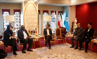The cooperation opportunities between Iran and Zimbabwe should be explained to the economic activists of the two countries